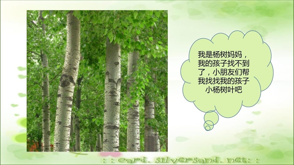 幼儿园小班科学教案《多彩的树叶》PPT课件反思