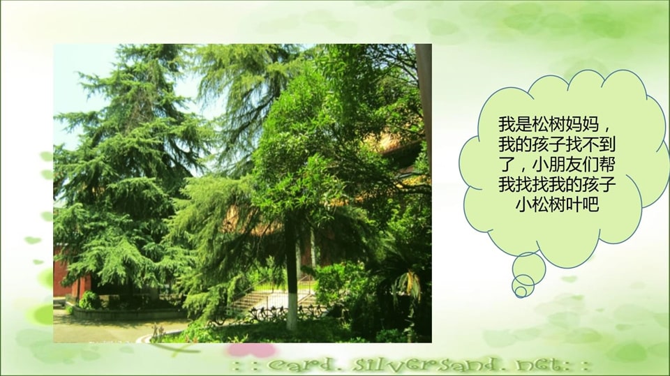 幼儿园小班科学教案《多彩的树叶》PPT课件反思