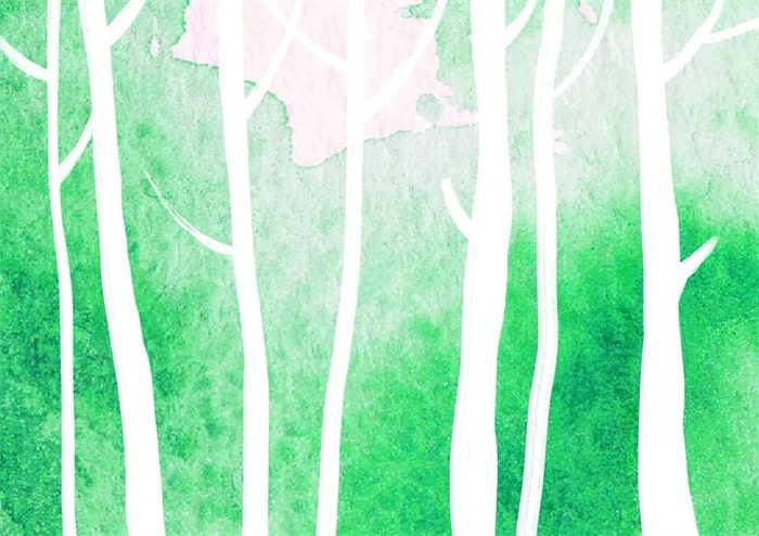 秋季主题少儿美术课程《秋天的白桦林》