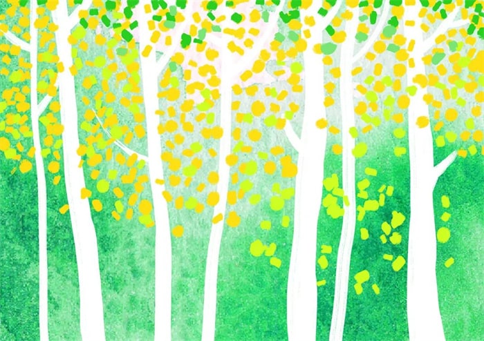 秋季主题少儿美术课程《秋天的白桦林》