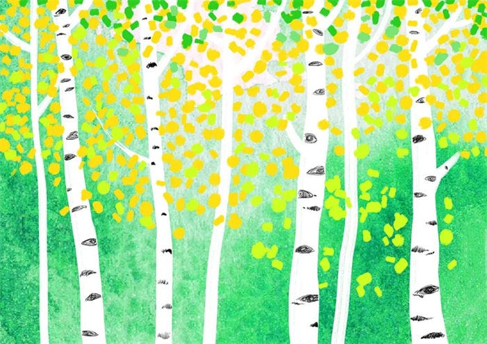 秋季主题少儿美术课程《秋天的白桦林》