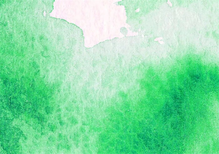 秋季主题少儿美术课程《秋天的白桦林》