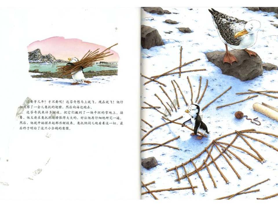 《汉斯比尔系列1-达芬奇想飞》