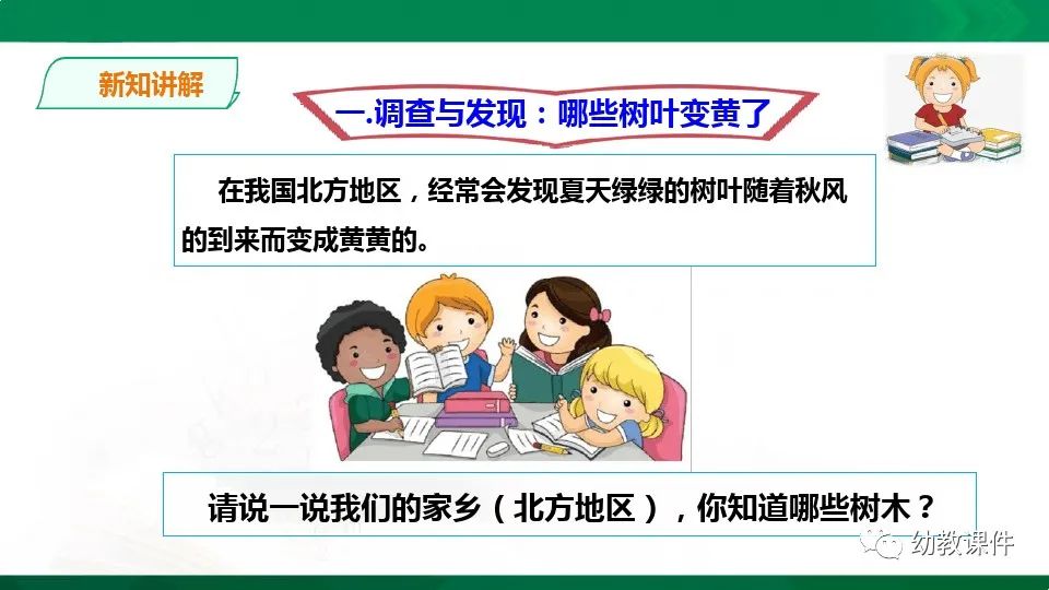 幼儿园中班科学教案《树叶为什么会变黄》PPT课件