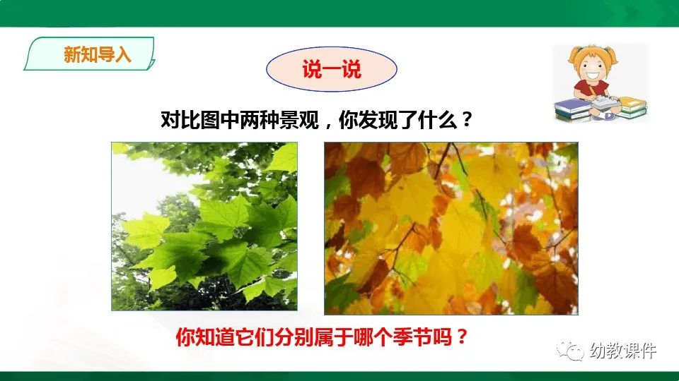 幼儿园中班科学教案《树叶为什么会变黄》PPT课件