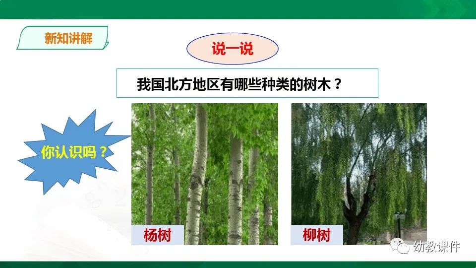 幼儿园中班科学教案《树叶为什么会变黄》PPT课件