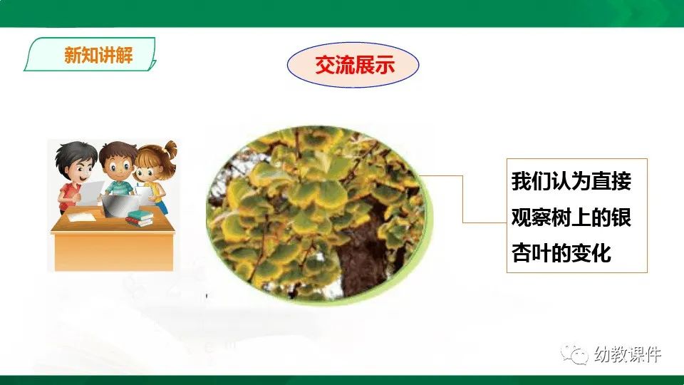 幼儿园中班科学教案《树叶为什么会变黄》PPT课件