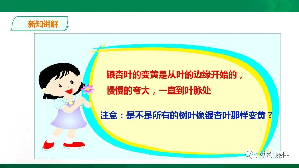 幼儿园中班科学教案《树叶为什么会变黄》PPT课件