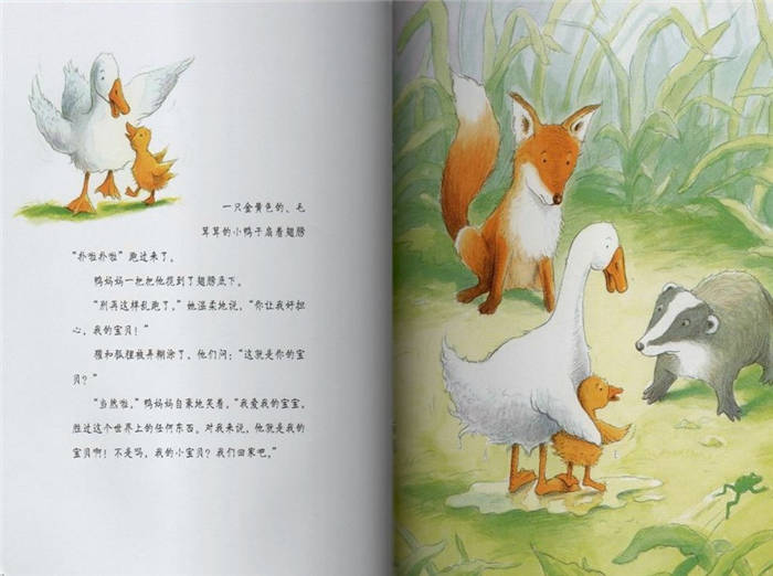 彩虹的尽头绘本故事