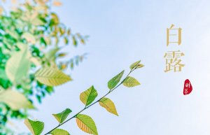 白露节气养生 白露节气需要注意什么