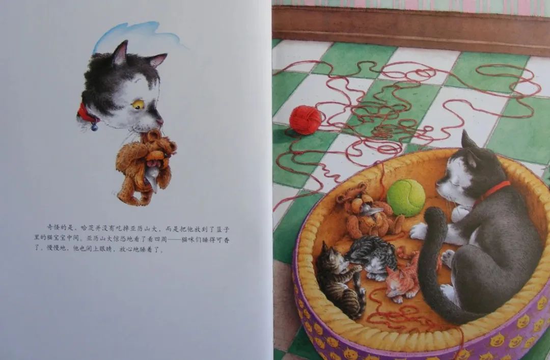 《汉斯比尔系列2-小老鼠亚历山大》