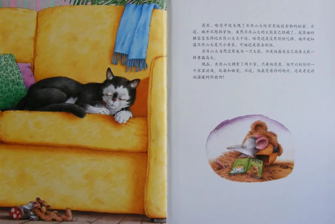 《汉斯比尔系列2-小老鼠亚历山大》