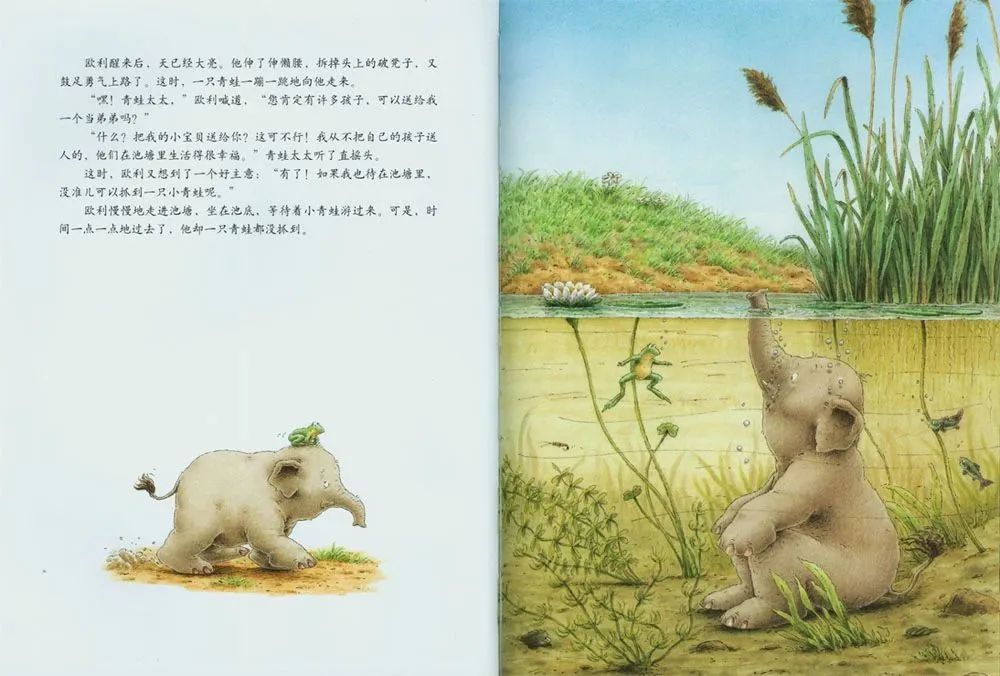 《汉斯比尔系列3-小象欧利找弟弟》