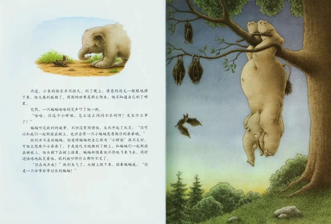 《汉斯比尔系列3-小象欧利找弟弟》