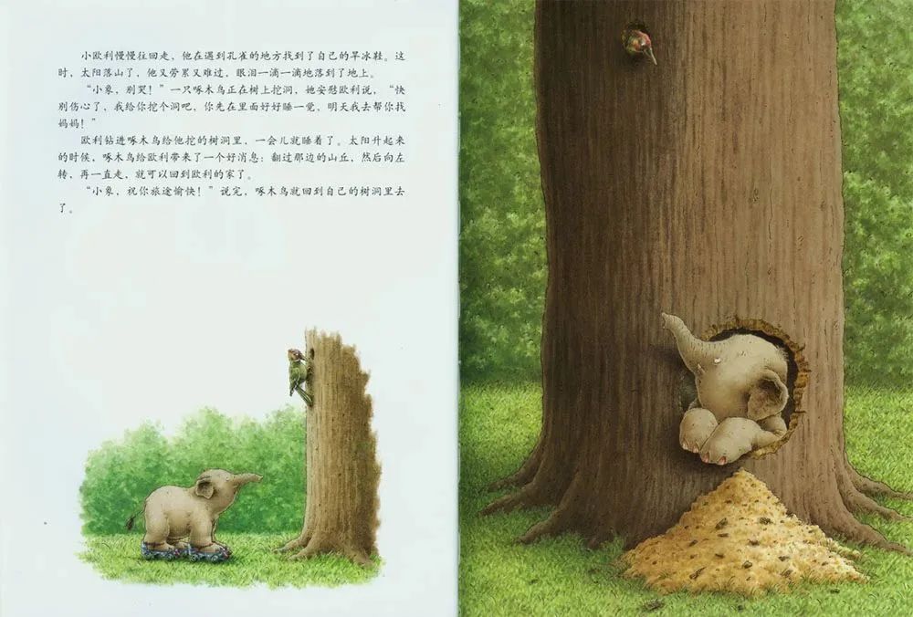 《汉斯比尔系列3-小象欧利找弟弟》