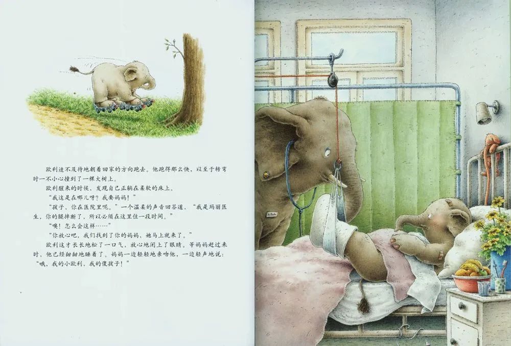 《汉斯比尔系列3-小象欧利找弟弟》