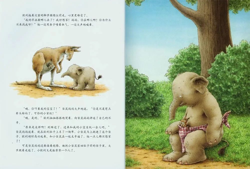 《汉斯比尔系列3-小象欧利找弟弟》