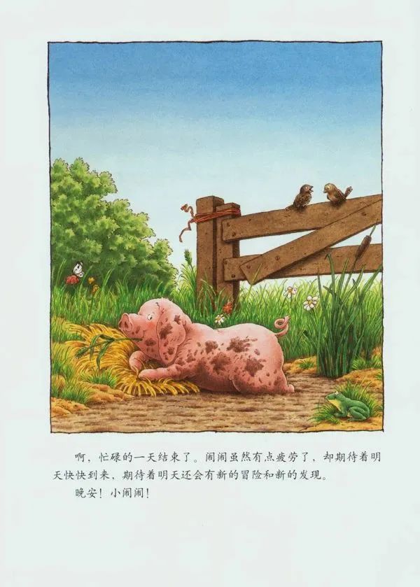 《汉斯比尔系列4-小猪闹闹》