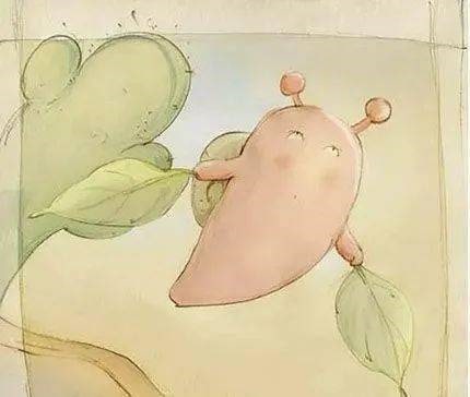 幼儿园大班语言教案《蜗牛快递》绘本故事PPT课件