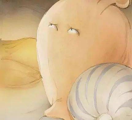 幼儿园大班语言教案《蜗牛快递》绘本故事PPT课件