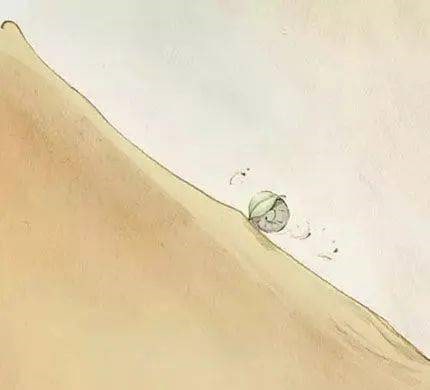 幼儿园大班语言教案《蜗牛快递》绘本故事PPT课件