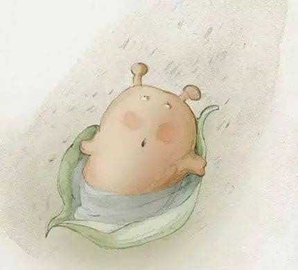 幼儿园大班语言教案《蜗牛快递》绘本故事PPT课件