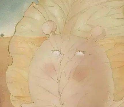 幼儿园大班语言教案《蜗牛快递》绘本故事PPT课件