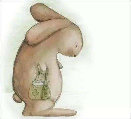 幼儿园大班语言教案《蜗牛快递》绘本故事PPT课件