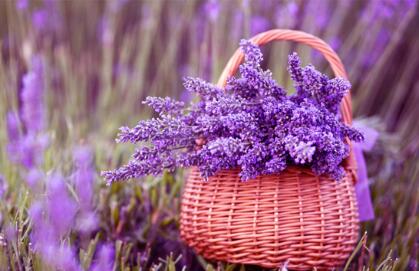 胎教小故事：一些适合爸爸读的胎教小故事