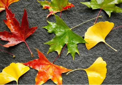 胎教小故事：一些适合爸爸读的胎教小故事