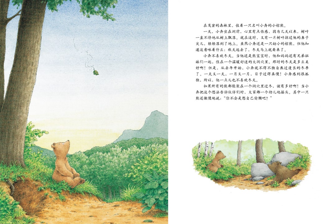 《汉斯比尔系列5-小棕熊的梦》