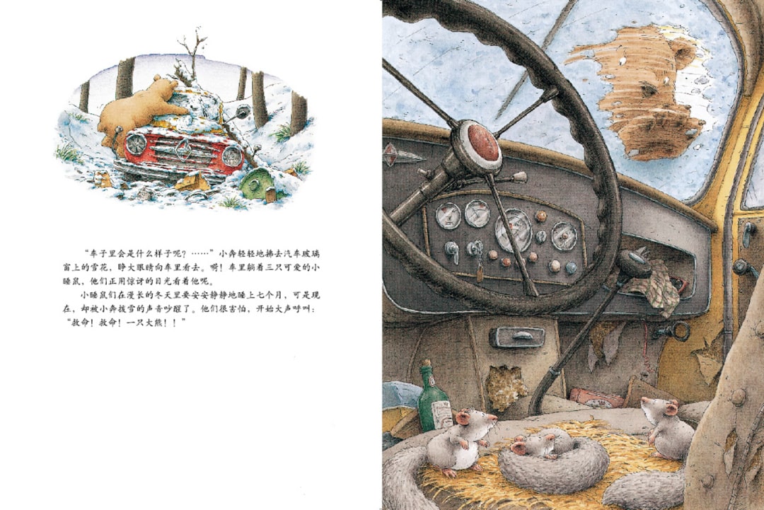 《汉斯比尔系列5-小棕熊的梦》