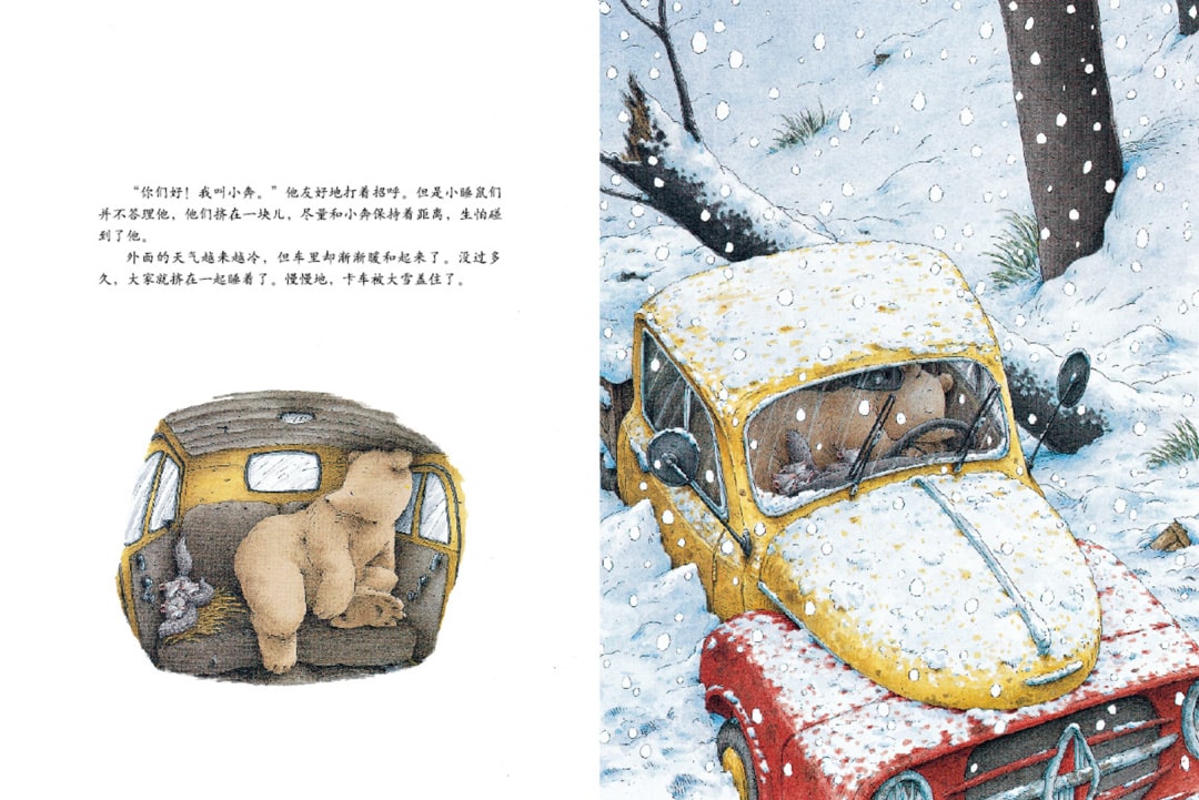 《汉斯比尔系列5-小棕熊的梦》