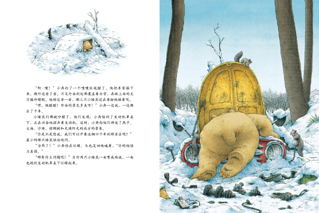 《汉斯比尔系列5-小棕熊的梦》