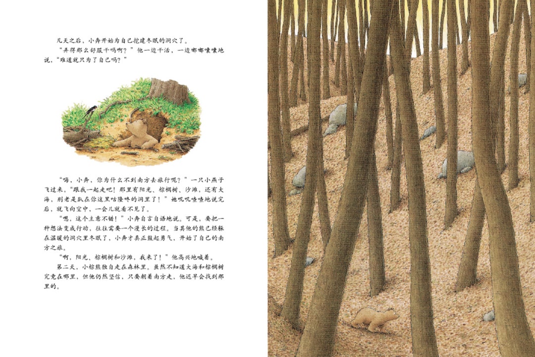 《汉斯比尔系列5-小棕熊的梦》