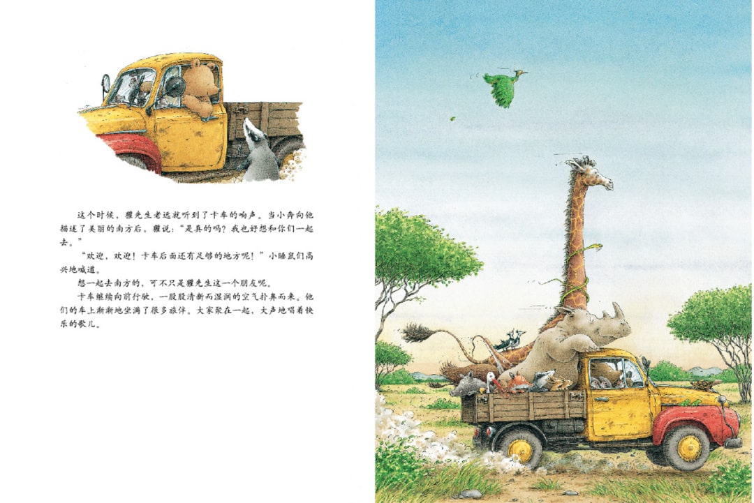 《汉斯比尔系列5-小棕熊的梦》