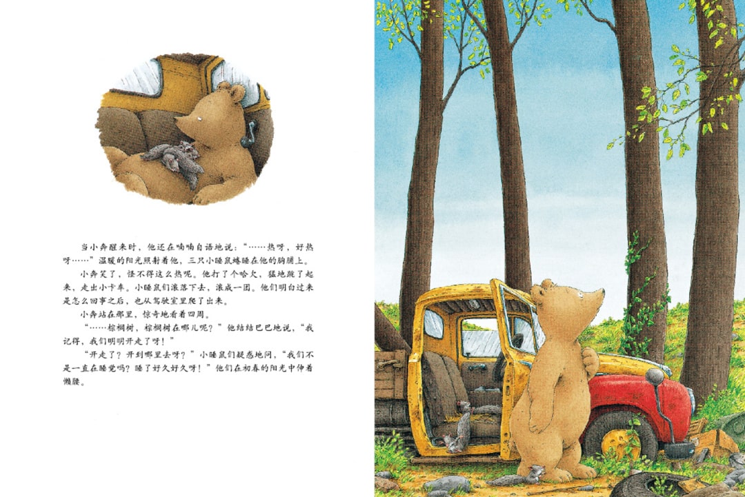 《汉斯比尔系列5-小棕熊的梦》