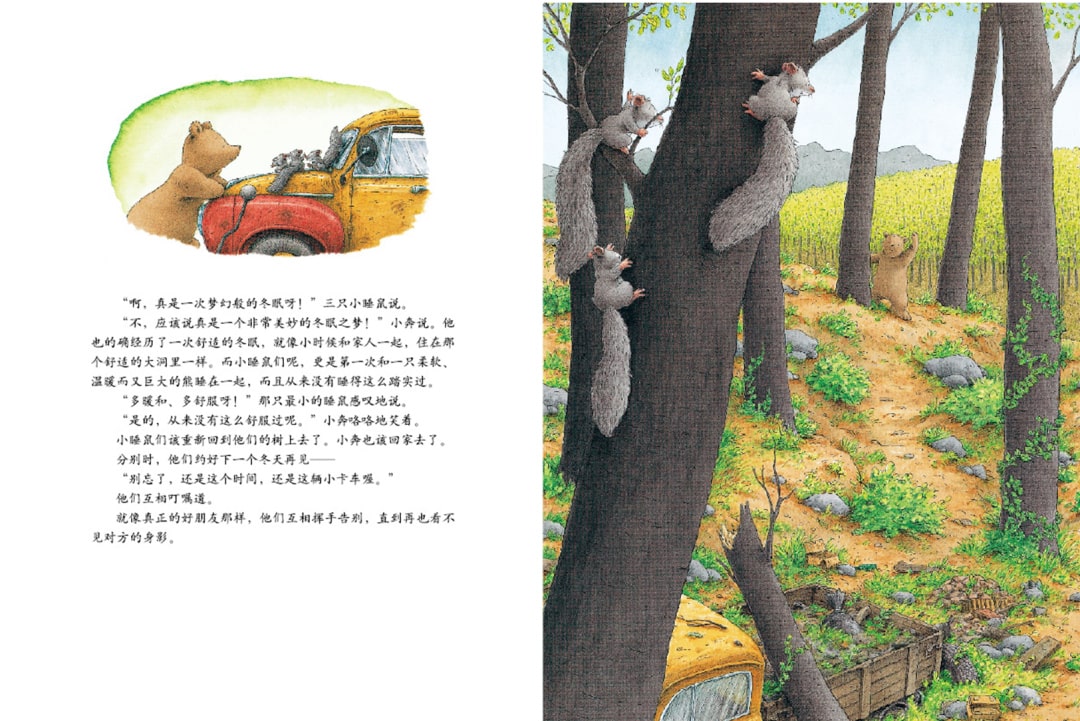 《汉斯比尔系列5-小棕熊的梦》