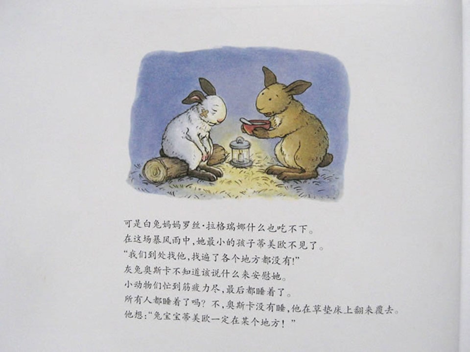 《好居乐农场1-布雷格的龙卷风》