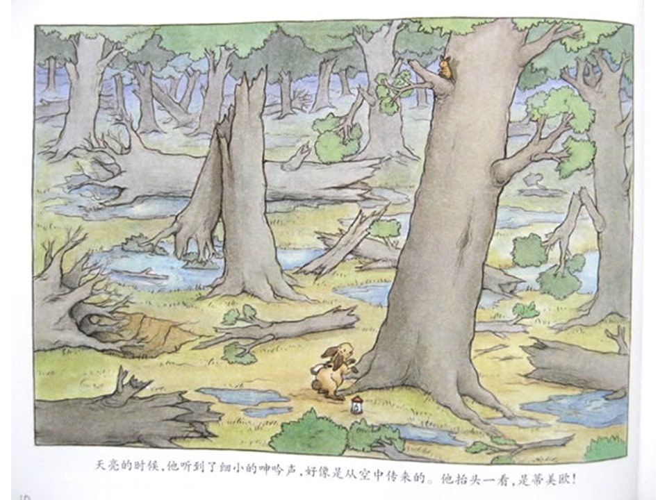 《好居乐农场1-布雷格的龙卷风》