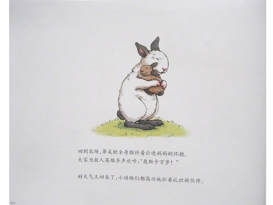 《好居乐农场1-布雷格的龙卷风》