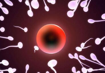 什么是男性不育？男性不育症的检查治疗