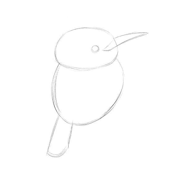 少儿美术课程 创意剪贴画《秋林小鸟》