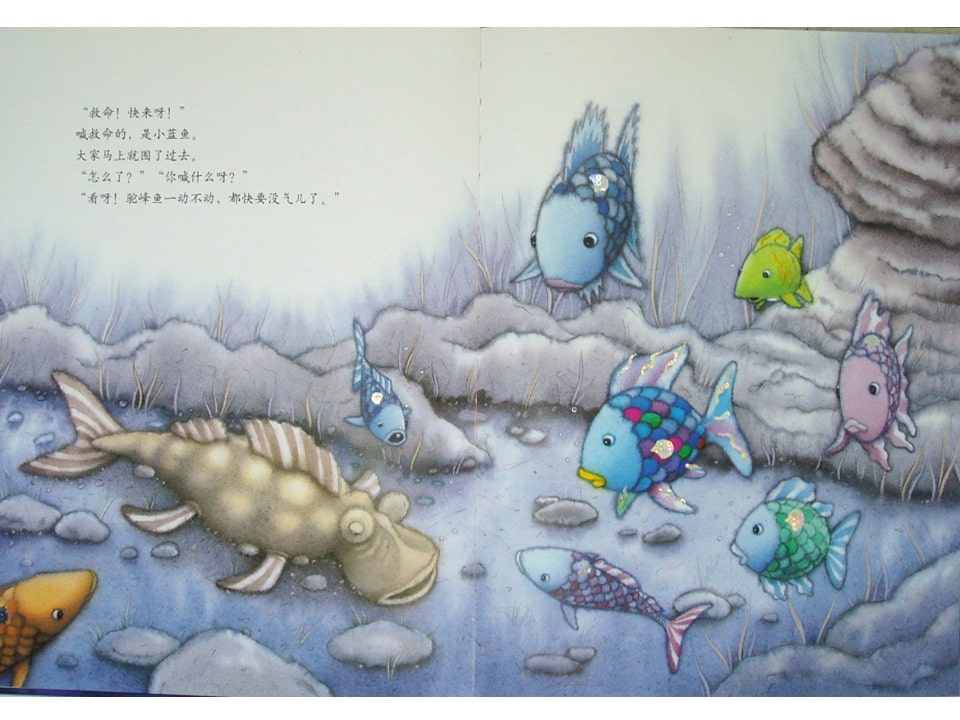 《彩虹鱼4-我才不怕呢》