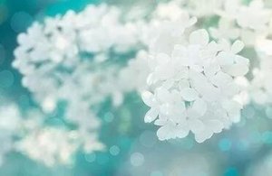 书单：我们每个人都需要不断地成长