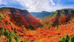 层林尽染的意思