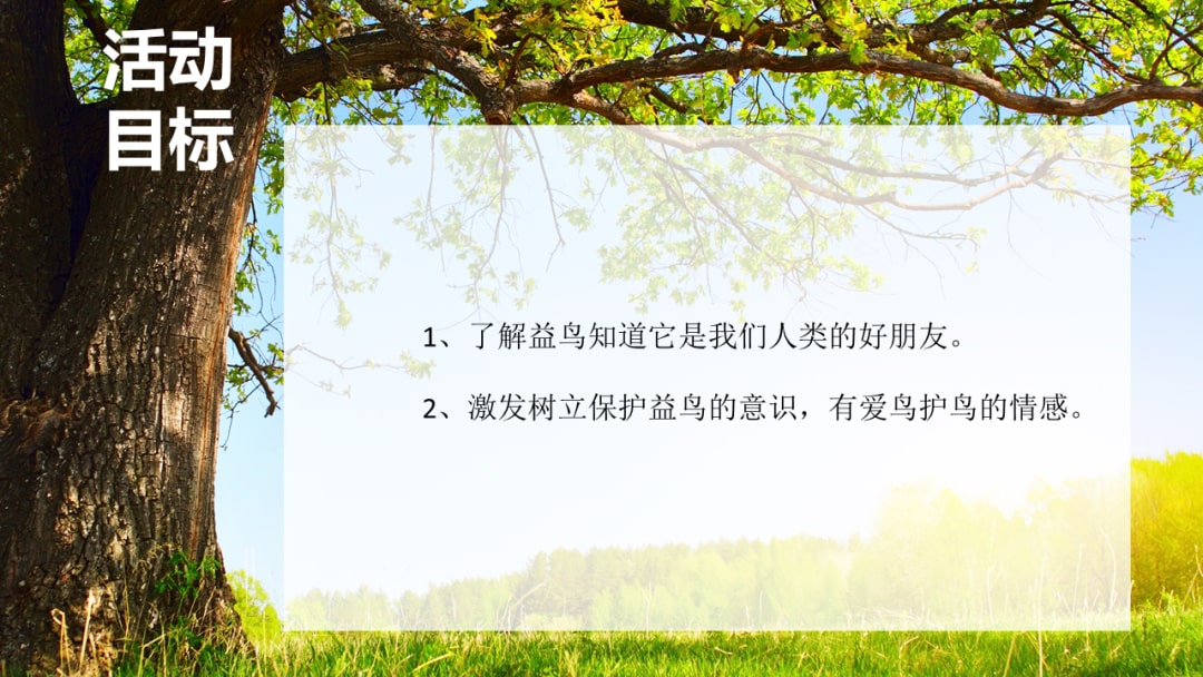 幼儿园大班社会教案：大树医生