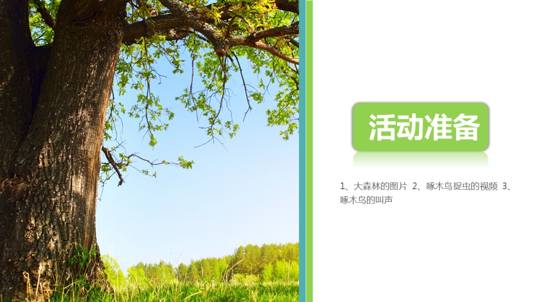 幼儿园大班社会教案：大树医生