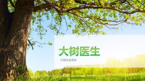 幼儿园大班社会教案：大树医生（含PPT课件图片