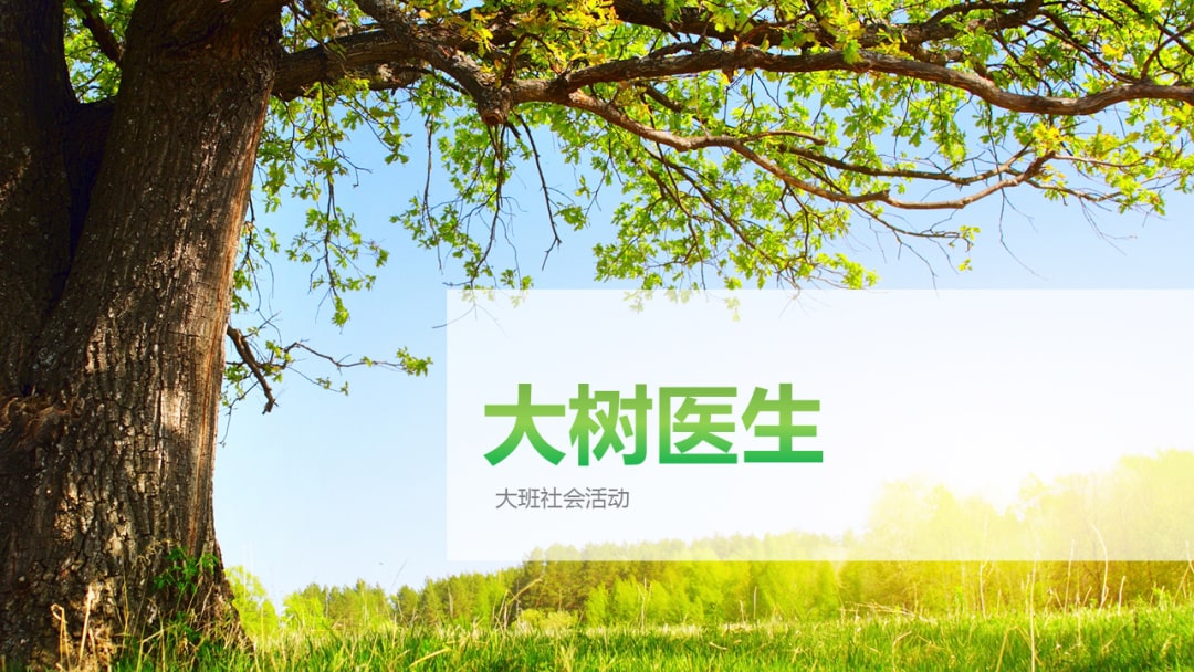 幼儿园大班社会教案：大树医生